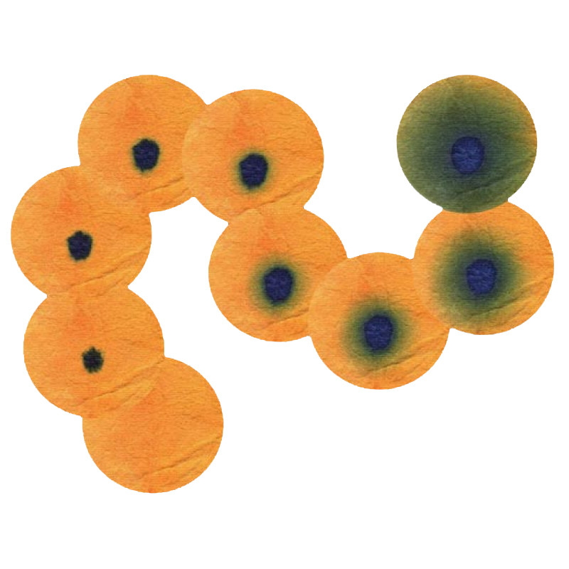 202758.970.jpg